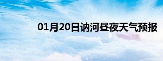 01月20日讷河昼夜天气预报