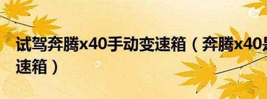 试驾奔腾x40手动变速箱（奔腾x40是什么变速箱）