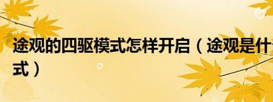 途观的四驱模式怎样开启（途观是什么四驱模式）