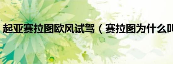 起亚赛拉图欧风试驾（赛拉图为什么叫欧风）