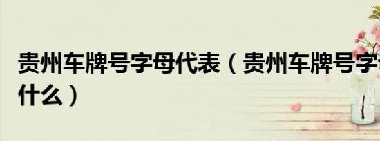 贵州车牌号字母代表（贵州车牌号字母排序是什么）