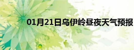 01月21日乌伊岭昼夜天气预报