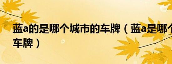 蓝a的是哪个城市的车牌（蓝a是哪个省份的车牌）