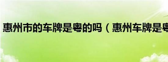 惠州市的车牌是粤的吗（惠州车牌是粤什么）