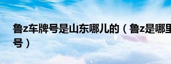 鲁z车牌号是山东哪儿的（鲁z是哪里的车牌号）