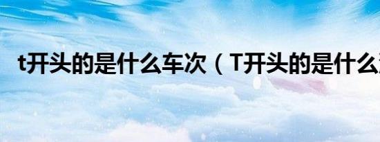 t开头的是什么车次（T开头的是什么汽车）