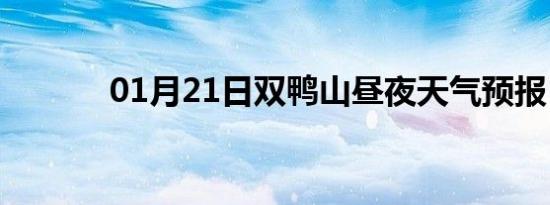 01月21日双鸭山昼夜天气预报