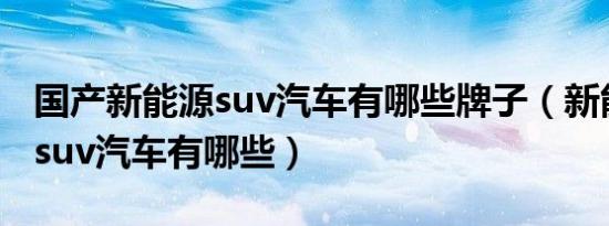 国产新能源suv汽车有哪些牌子（新能源绿牌suv汽车有哪些）