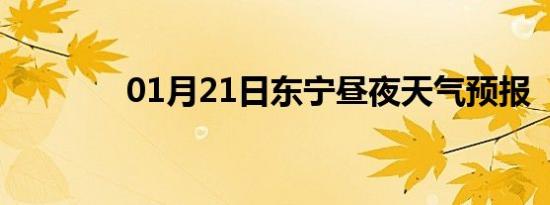 01月21日东宁昼夜天气预报