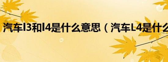 汽车l3和l4是什么意思（汽车L4是什么意思）
