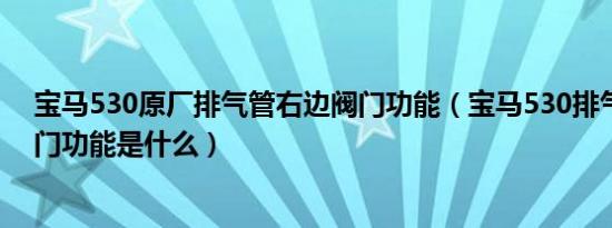 宝马530原厂排气管右边阀门功能（宝马530排气管右边阀门功能是什么）