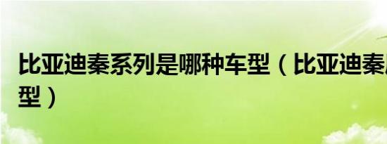 比亚迪秦系列是哪种车型（比亚迪秦属什么车型）