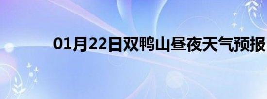 01月22日双鸭山昼夜天气预报