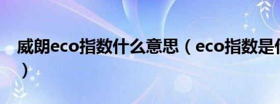 威朗eco指数什么意思（eco指数是什么意思）