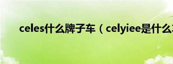 celes什么牌子车（celyiee是什么车）