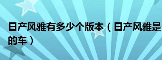 日产风雅有多少个版本（日产风雅是什么级别的车）