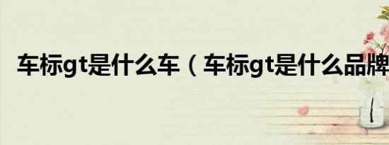 车标gt是什么车（车标gt是什么品牌的车）