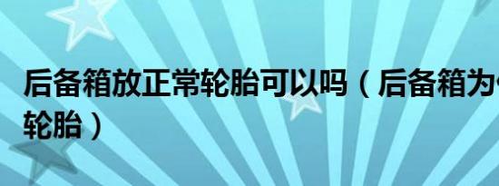 后备箱放正常轮胎可以吗（后备箱为什么要放轮胎）