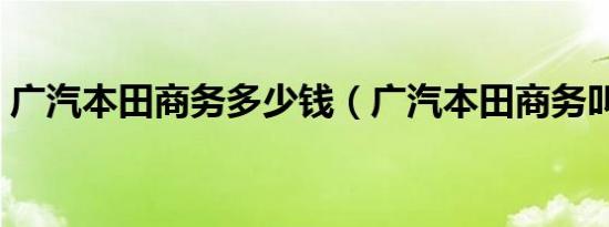 广汽本田商务多少钱（广汽本田商务叫什么）