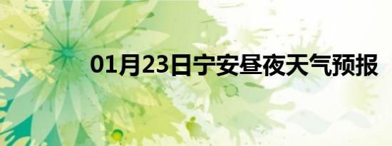 01月23日宁安昼夜天气预报