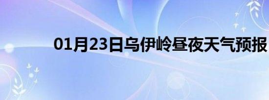 01月23日乌伊岭昼夜天气预报