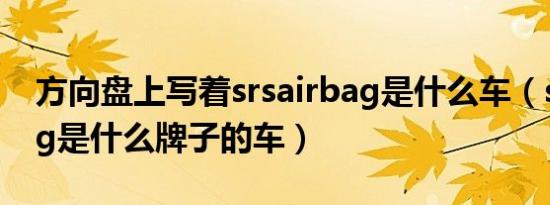 方向盘上写着srsairbag是什么车（srsairbag是什么牌子的车）