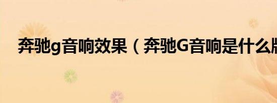 奔驰g音响效果（奔驰G音响是什么牌子）