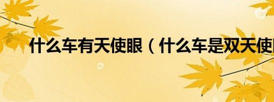 什么车有天使眼（什么车是双天使眼）