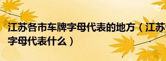 江苏各市车牌字母代表的地方（江苏各地车牌字母代表什么）
