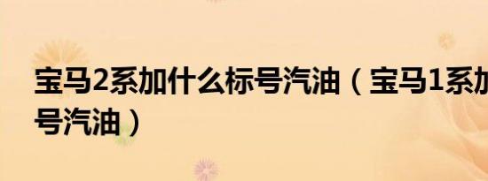 宝马2系加什么标号汽油（宝马1系加什么型号汽油）