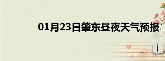 01月23日肇东昼夜天气预报