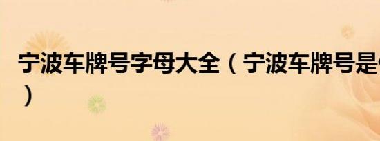 宁波车牌号字母大全（宁波车牌号是什么字母）