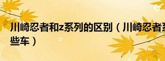 川崎忍者和z系列的区别（川崎忍者系列有哪些车）