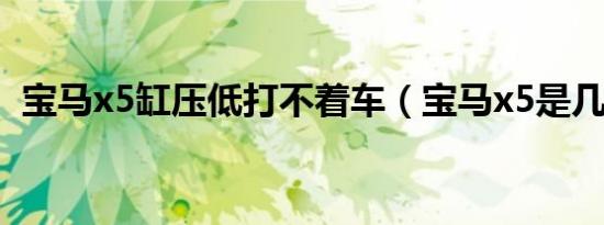 宝马x5缸压低打不着车（宝马x5是几缸的）