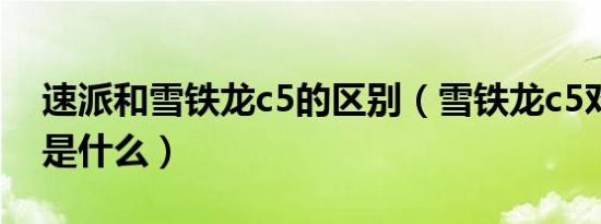 速派和雪铁龙c5的区别（雪铁龙c5对比速派是什么）