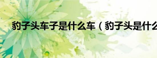 豹子头车子是什么车（豹子头是什么车）