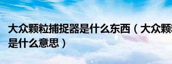 大众颗粒捕捉器是什么东西（大众颗粒捕捉器是什么意思）