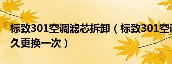 标致301空调滤芯拆卸（标致301空调滤芯多久更换一次）