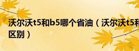 沃尔沃t5和b5哪个省油（沃尔沃t5和b5什么区别）