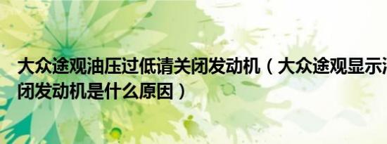 大众途观油压过低请关闭发动机（大众途观显示油压异常关闭发动机是什么原因）