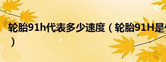 轮胎91h代表多少速度（轮胎91H是什么意思）