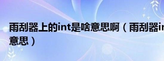 雨刮器上的int是啥意思啊（雨刮器int是什么意思）