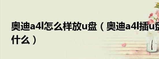 奥迪a4l怎么样放u盘（奥迪a4l插u盘教程是什么）