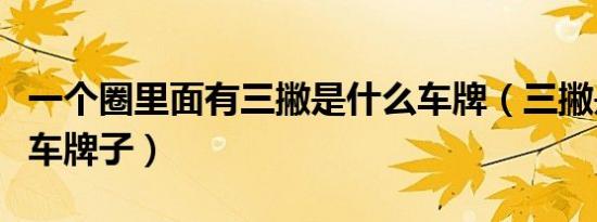 一个圈里面有三撇是什么车牌（三撇是个什么车牌子）