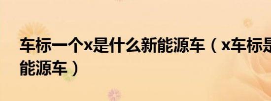 车标一个x是什么新能源车（x车标是什么新能源车）