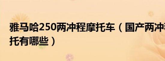 雅马哈250两冲程摩托车（国产两冲程250摩托有哪些）
