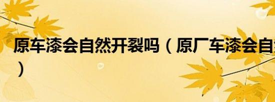原车漆会自然开裂吗（原厂车漆会自然开裂吗）