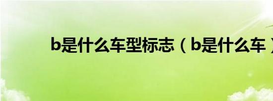 b是什么车型标志（b是什么车）
