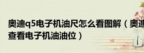 奥迪q5电子机油尺怎么看图解（奥迪Q5怎么查看电子机油油位）