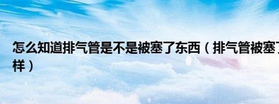 怎么知道排气管是不是被塞了东西（排气管被塞了东西会怎样）